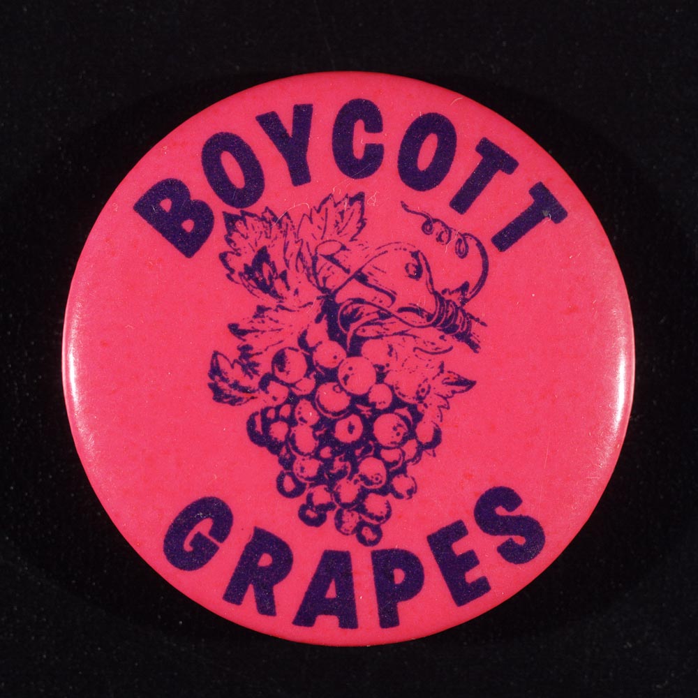 From its earliest days the UFW recognized the importance of rallying public opinion to its cause.  Through a national network of support groups and boycott committees, the union made the struggle for unionization part of the larger civil rights movement of the 1960s and 1970s.  Their strategy of non-violent resistance, fasts and marches drew the attention of the nation.